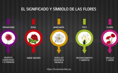 Conozca el significado de las flores en un Funeral